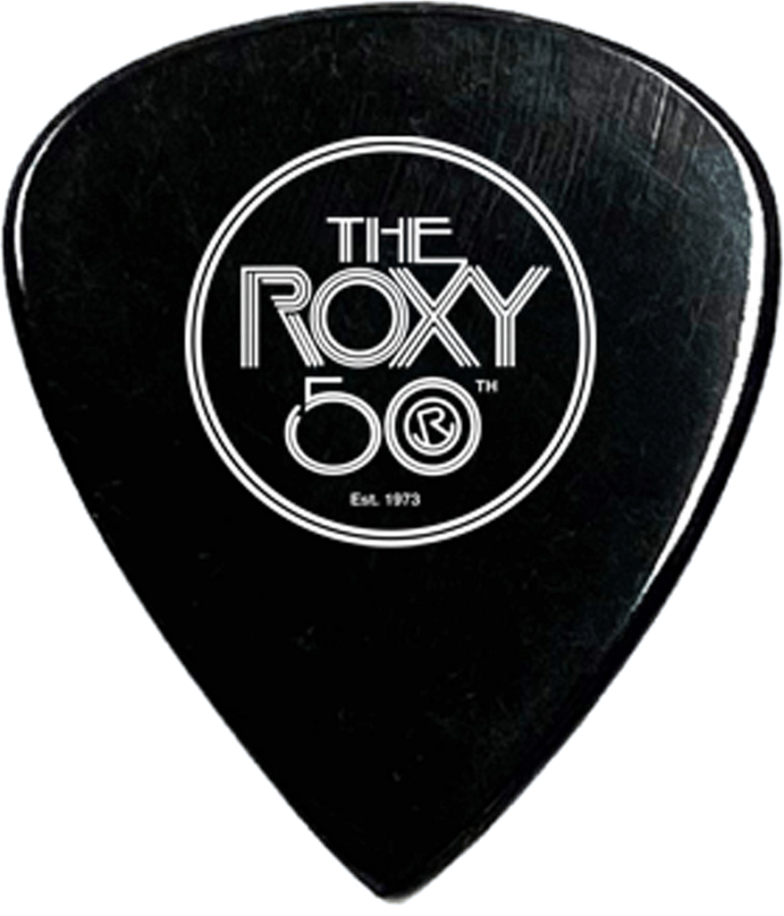 Roxy Guitar Pick